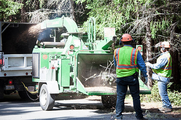 Soil Testing and Treatment in Shady Side, MD